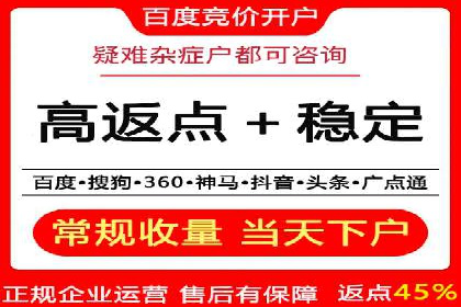 某电商平台的SEM策略与效果展示